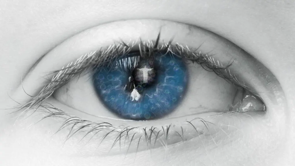 eye